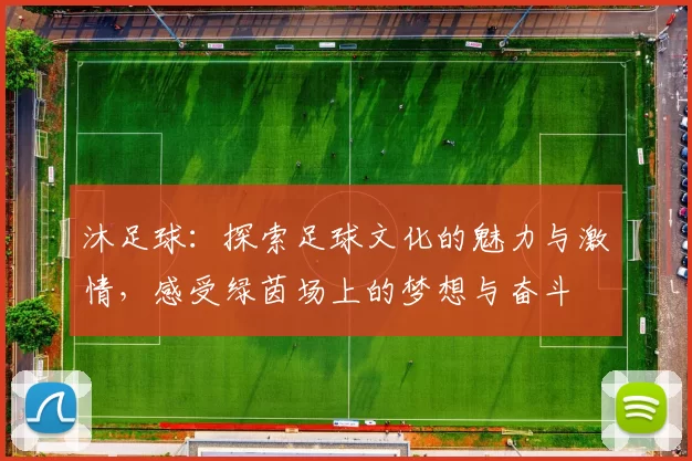 沐足球：探索足球文化的魅力与激情，感受绿茵场上的梦想与奋斗