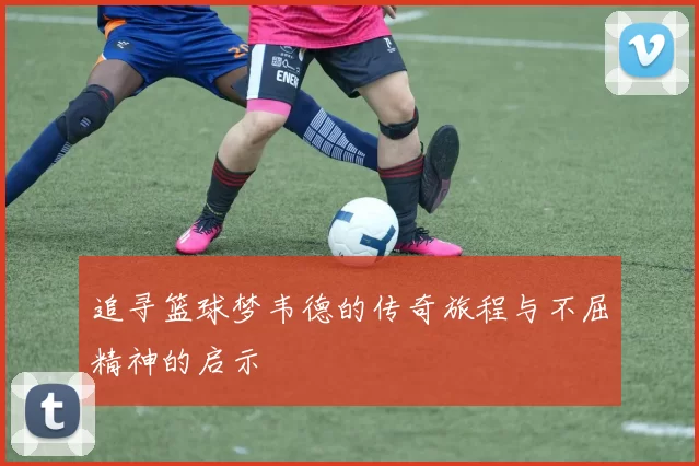 追寻篮球梦韦德的传奇旅程与不屈精神的启示