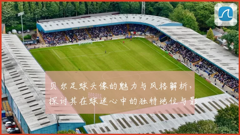 贝尔足球头像的魅力与风格解析，探讨其在球迷心中的独特地位与影响力