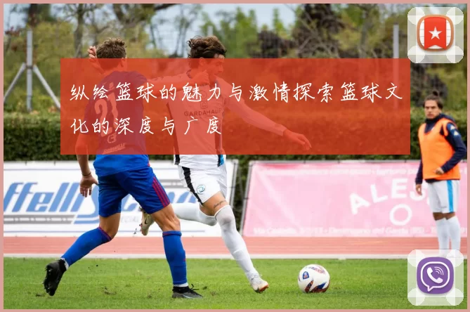 纵绘篮球的魅力与激情探索篮球文化的深度与广度