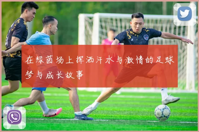 在绿茵场上挥洒汗水与激情的足球梦与成长故事