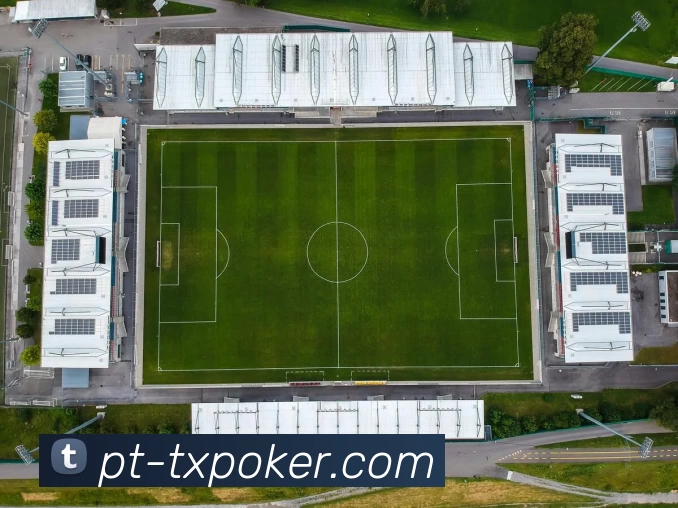 多媒体互动体验